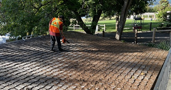 A Trained Worker Cleaning a Roof