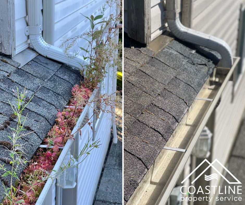 gutter cleaning result