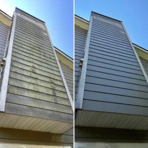 Clean Shingles