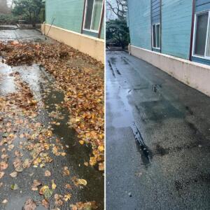 Before and After Cleaning a Sidewalk