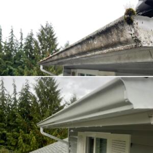 Before and After Gutter Cleaning