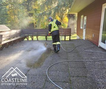 Cleaning in Action
