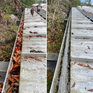 Gutter cleaning