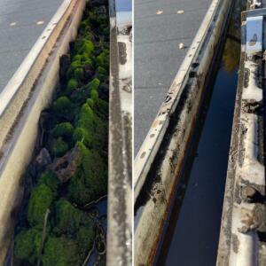 Moss Removal Vancouver
