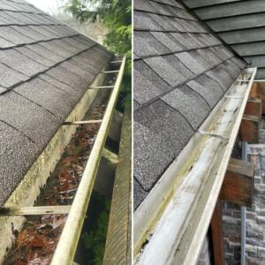Gutter Cleaning