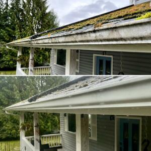Exterior gutter clean