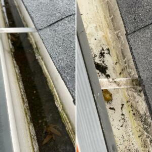 Gutter clean