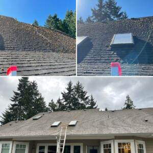 Roof clean
