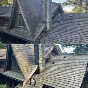 Roof clean