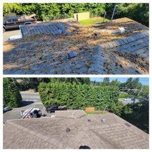 Roof clean