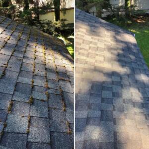 Roof clean