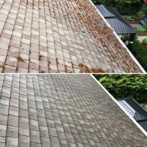 Roof clean