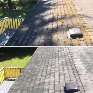 Roof clean