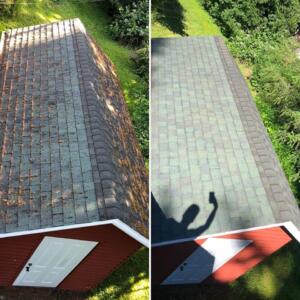 Roof cleaning