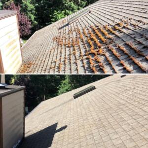 Roof cleaning