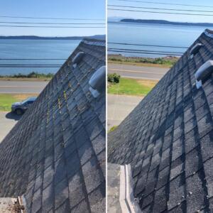Roof cleaning