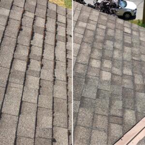 Roof cleaning