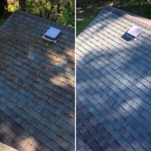 Roof cleaning