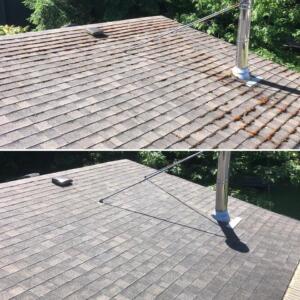 Roof cleaning