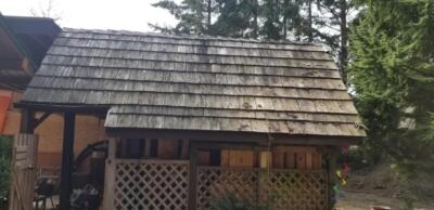 Dirty Wooden Roof