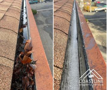 Gutter Cleaning