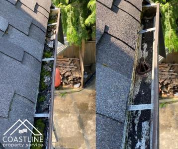 Gutter Cleaning