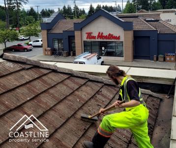 Roof Clean