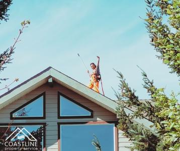 Roof Cleaning