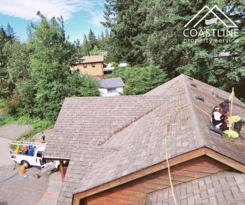 Roof Cleaning