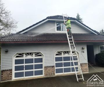 Roof Cleaning