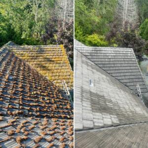 Before and After Roof Cleaning