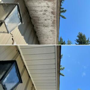 Before and After Eavestrough Cleaning