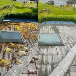 Tile Roof Moss Removal