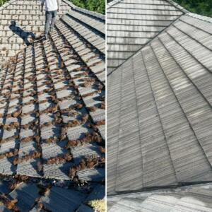 A Cleaned Roof
