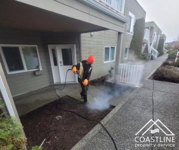 Pressure Wash