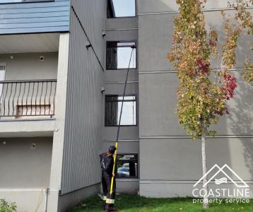 Window Cleaning